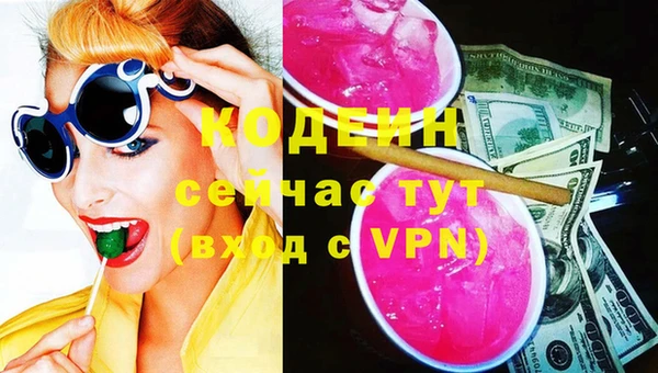 крисы Няндома