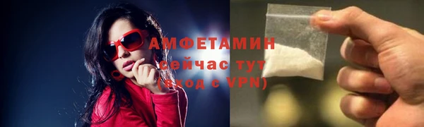 крисы Няндома