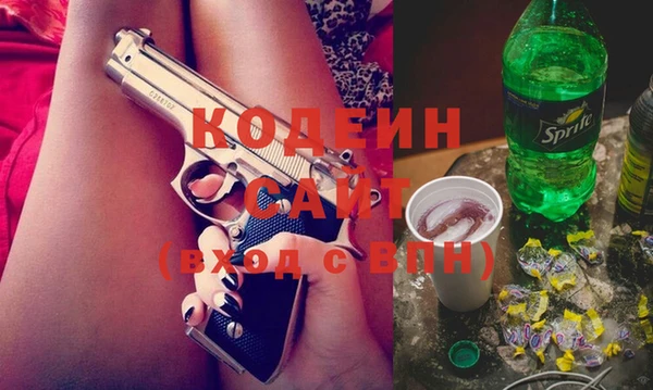 крисы Няндома