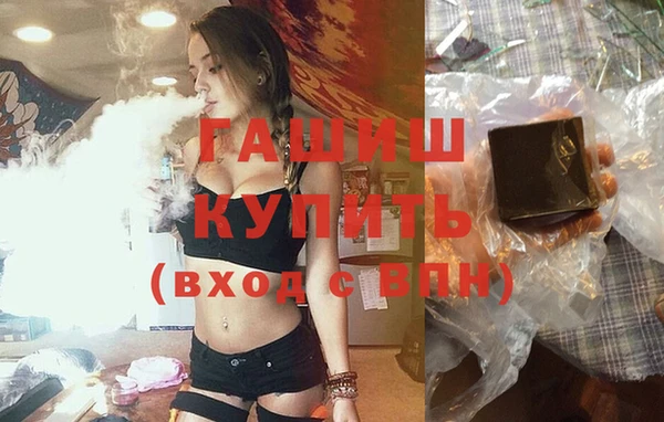 крисы Няндома