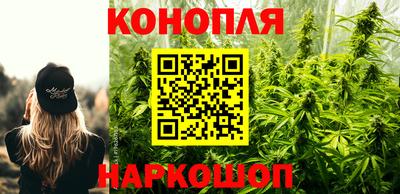 шишки Аргун