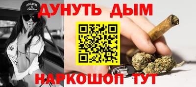 шишки Аргун