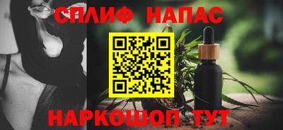 шишки Аргун