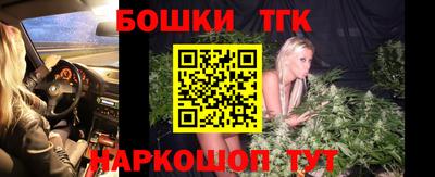шишки Аргун