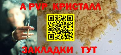 шишки Аргун