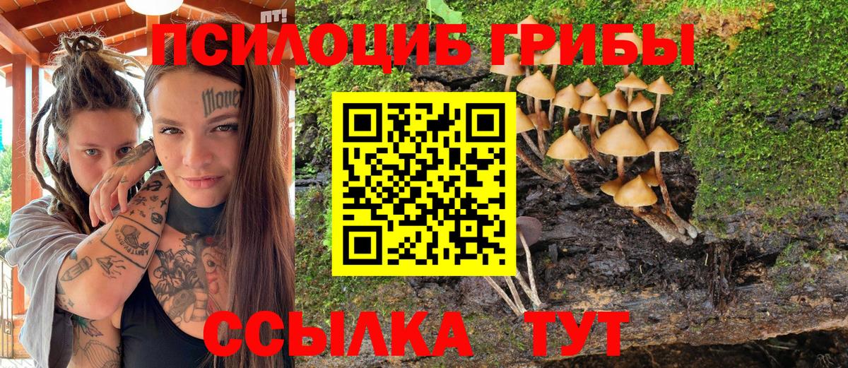 Баксан  Псилоцибиновые грибы GOLDEN TEACHER  закладки  Галлюциногенные грибы ЛСД  Вход с VPN 