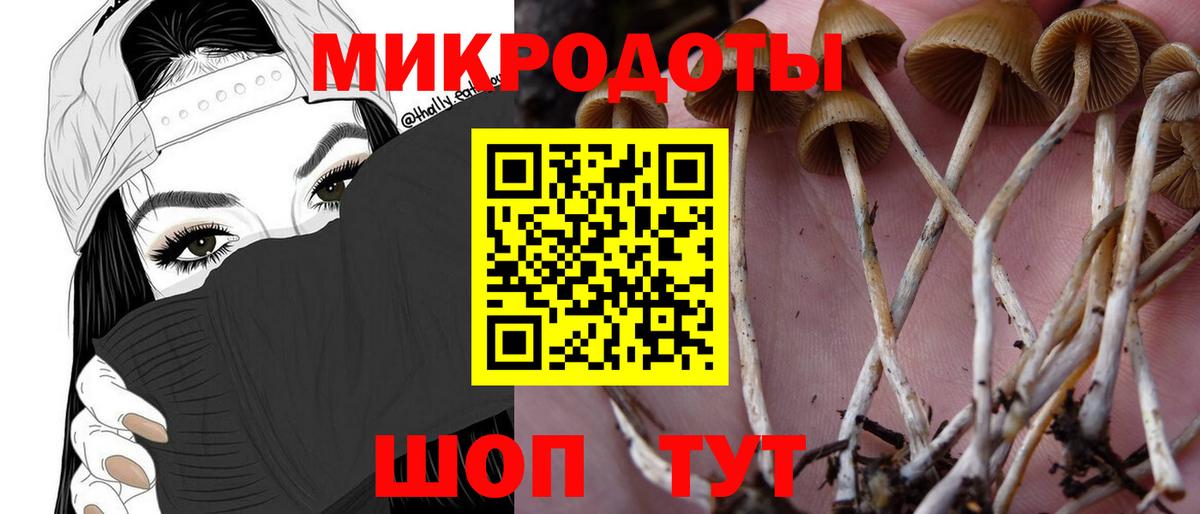 Галлюциногенные грибы Cubensis  Баксан  наркошоп  Галлюциногенные грибы MAGIC MUSHROOMS 