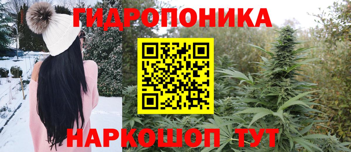 Каннабис Amnesia  Шишки марихуана Ganja  Баксан 